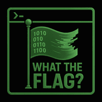 What the Flag Poster